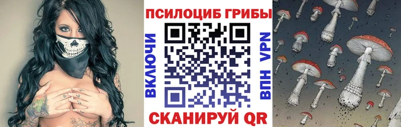 где купить   Нижнекамск  Галлюциногенные грибы мицелий 